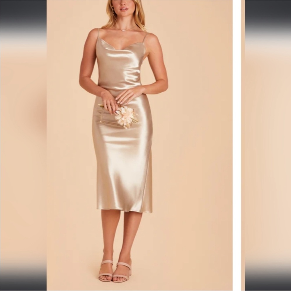 Birdy Grey Lisa Shiny Satin Neutral Champagne Dress Sz XS